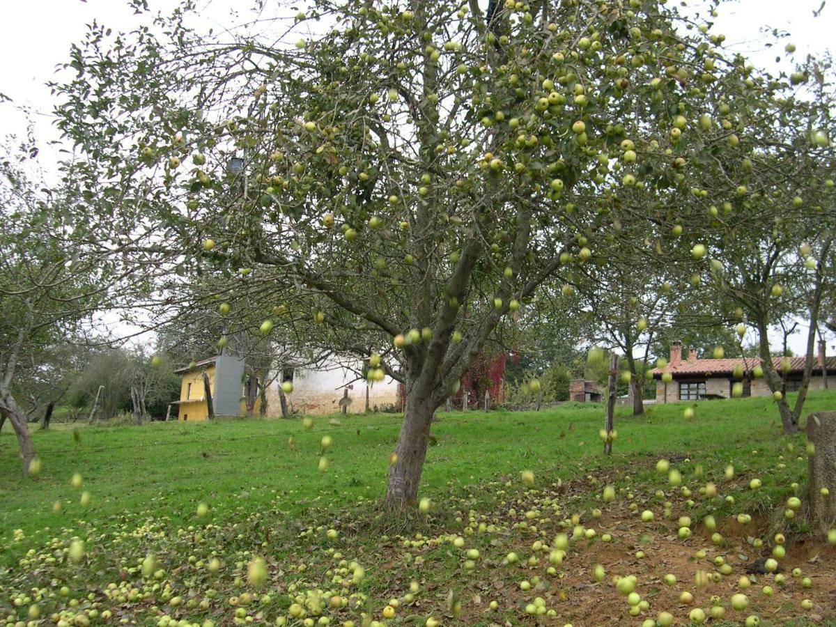 Turismo Rural el Sidron Hostal Piloña Exterior foto